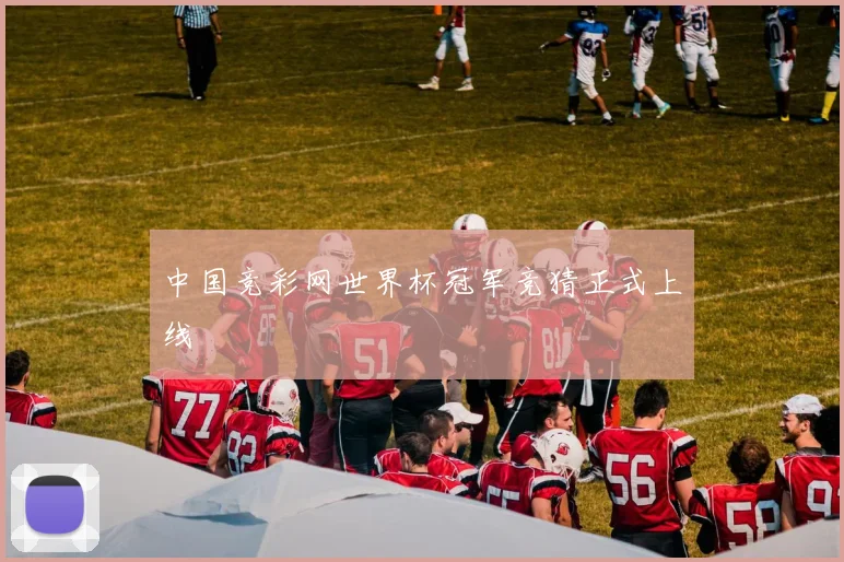 中国竞彩网世界杯冠军竞猜正式上线