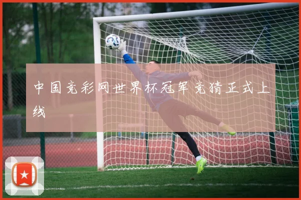 中国竞彩网世界杯冠军竞猜正式上线